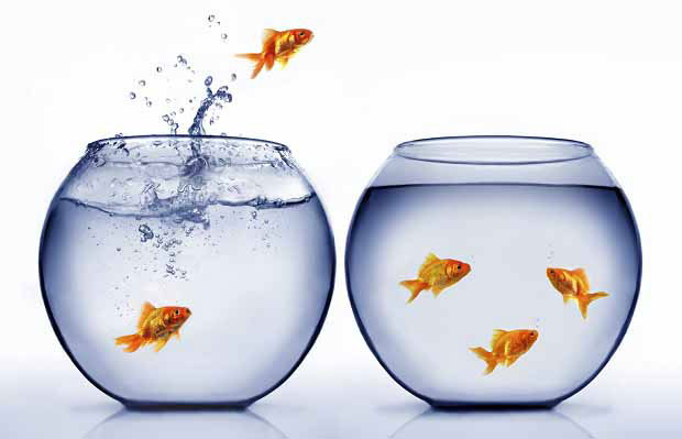 attorney job search four things employers look for in a lateral