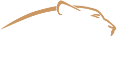 LeopardSolutions Logo