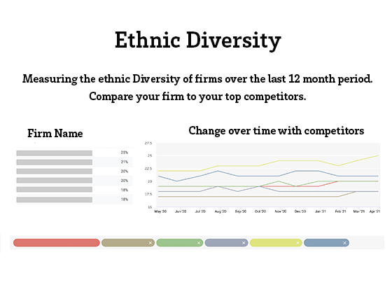 ethnic diversity